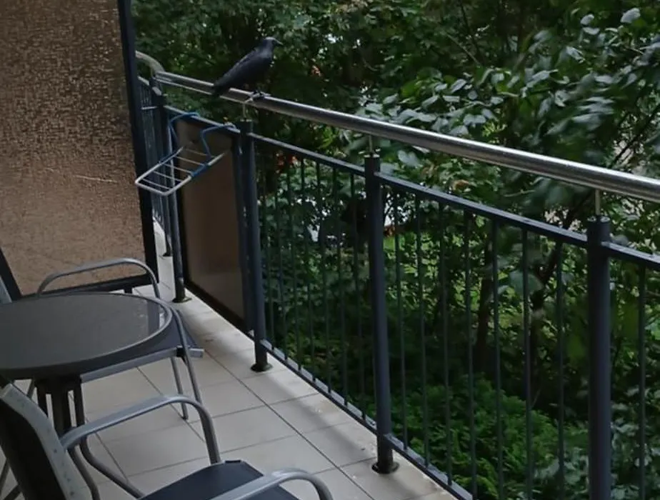 Apartament Spacerowa-1